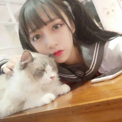 龙战三国无敌版下载